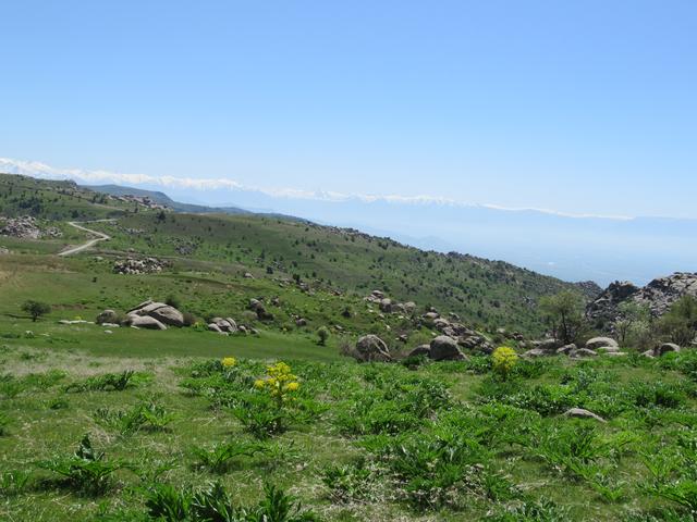 画像2: ハイキング中の風景