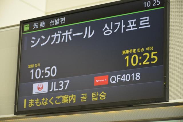 画像1: 【地球を走ろう!】マラソンコースリニューアル!
常夏の国 シンガポールマラソンレポート