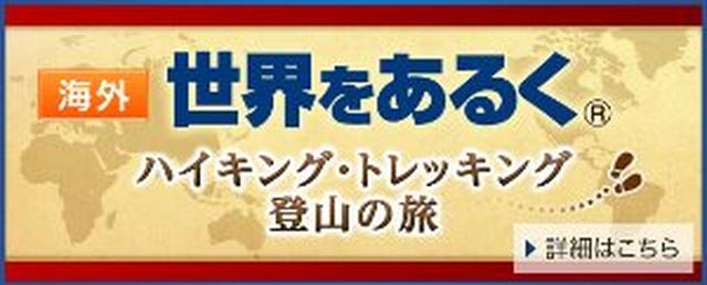 画像: d1uzk9o9cg136f.cloudfront.net