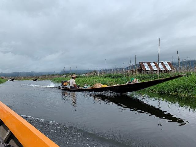画像: <水上農園/スタッフ田村撮影>