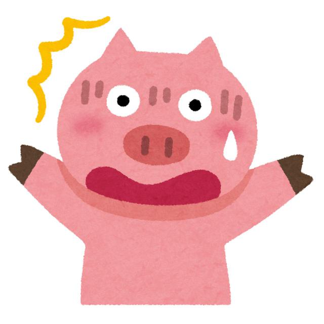 画像4: キュン死注意!ふわふわモフモフ大集合!<第1回>「可愛い動物の赤ちゃんシリーズ・ライオン編」【好奇心で旅する海外】<来た来た!アニマル>