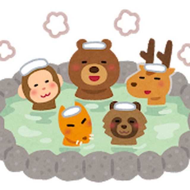画像7: 世界の風呂で「ととのう」〈第3回〉
『火山と高山植物の宝庫カムチャツカ』
【好奇心で旅する海外】〈癒しの空間〉