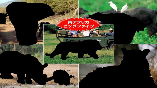画像3: 【南アフリカ】6月19日(土)『南部アフリカオンライン旅行説明会』を開催しました!