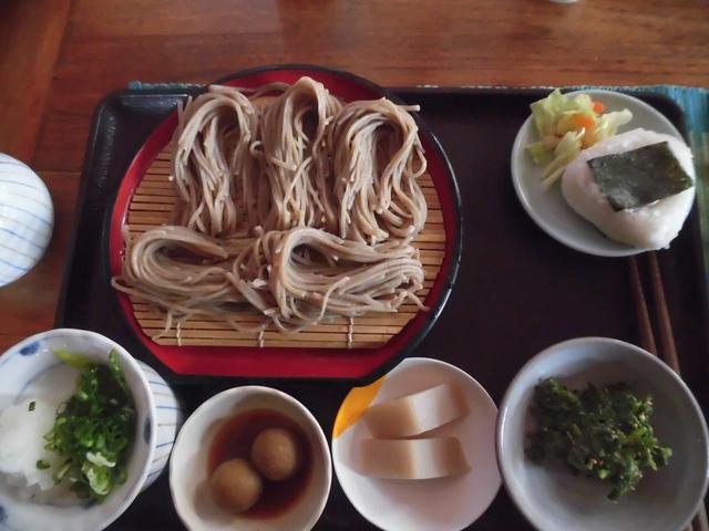 画像: ヒマラヤ蕎麦(イメージ)