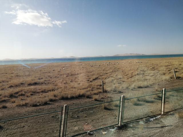 画像: 出発して間もなく見えてくる中国最大の塩湖・青海湖