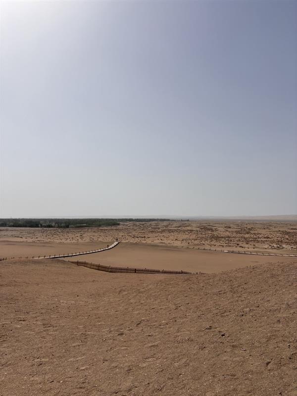 画像: 地平線が見える陽関故址付近（2025年4月 弊社スタッフ撮影）