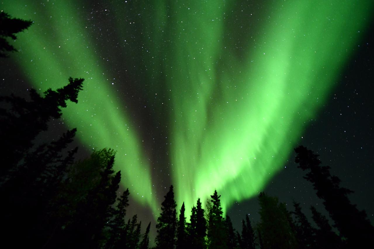 画像4: 【カナダ】夏のオーロラ大満喫！イエローナイフのご紹介