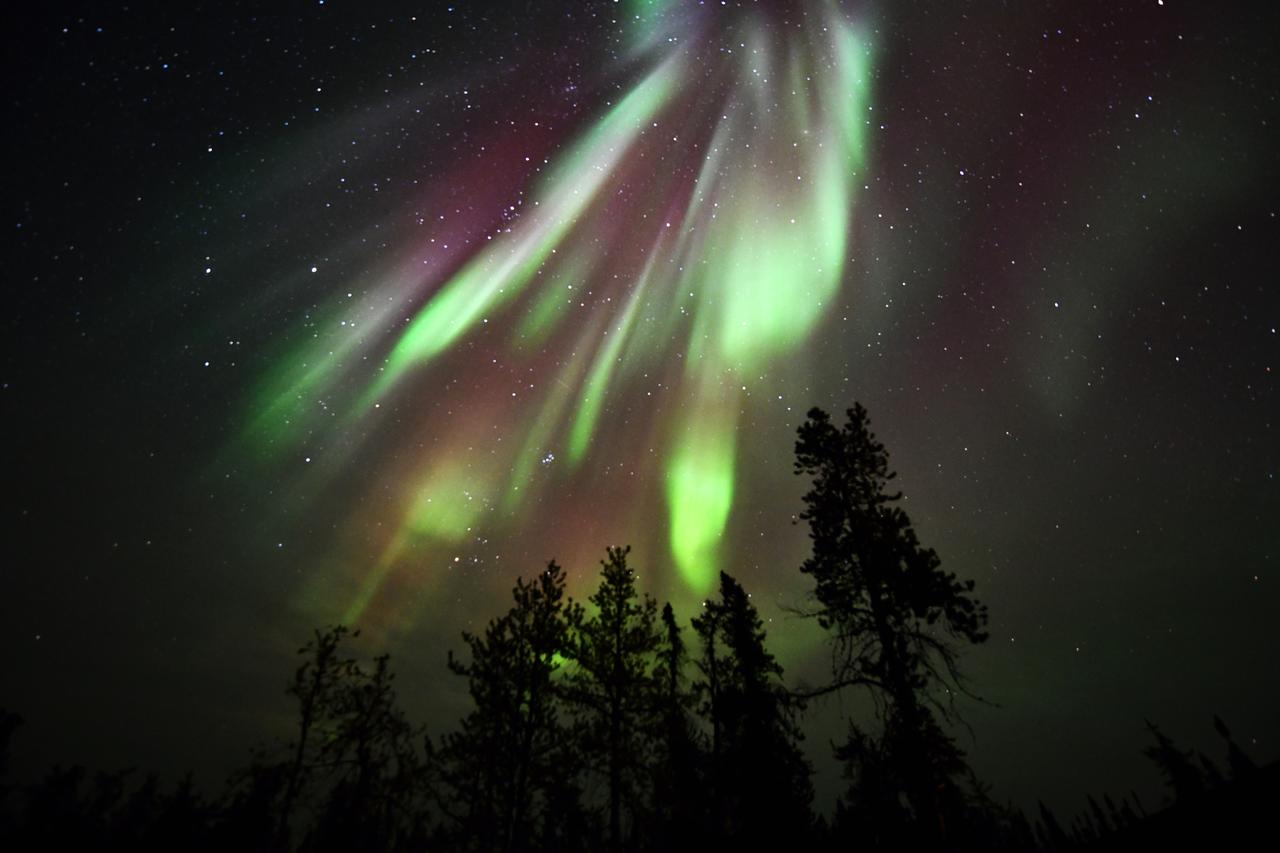 画像5: 【カナダ】夏のオーロラ大満喫！イエローナイフのご紹介