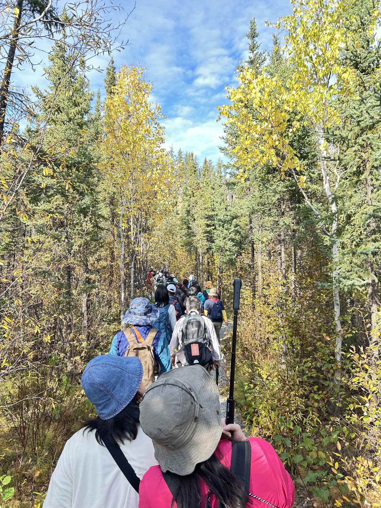 画像: 筆者撮影（25年9月）