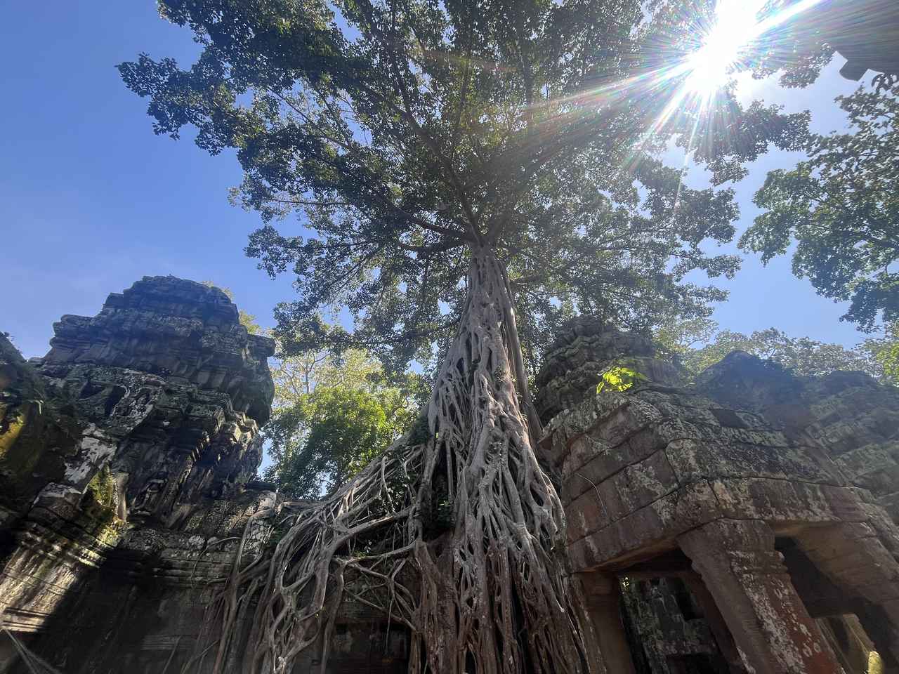 画像: タ・プローム（2025年11月弊社スタッフ撮影）