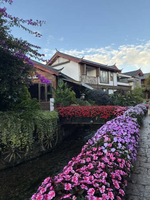 画像4: 麗江古城（2026年8月 弊社スタッフ撮影）
