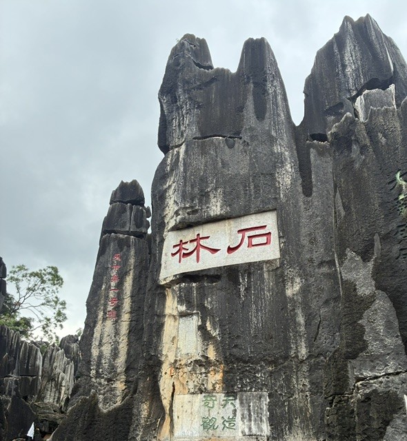 画像1: 石林（2026年8月 弊社スタッフ撮影）