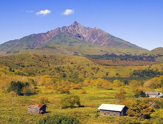 画像: 黄金色に染まる利尻島