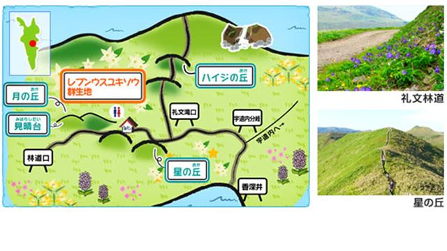 画像: www.club-t.com