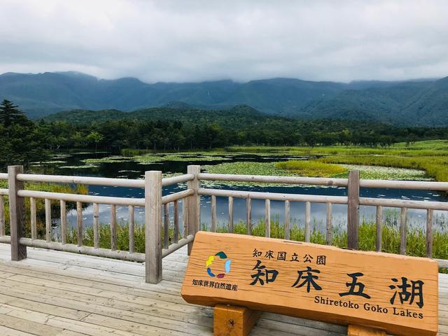画像: 9月8日クラブツーリズム竹内撮影