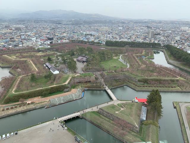 画像: 4月23日はつぼみが大きく、うっすらとピンク色を感じられました♪