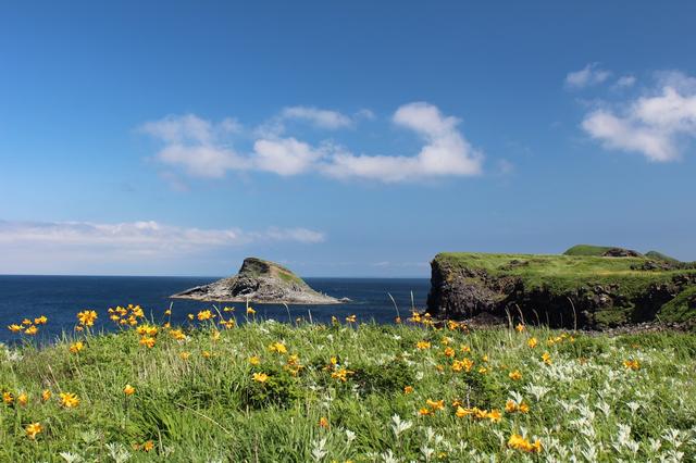 画像: 利尻島・富士野園地(お客様撮影写真:矢野一馬様・神奈川県在住)