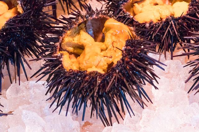 画像: 新鮮なウニを食べられるのは現地に行った人だけの特権かも!?