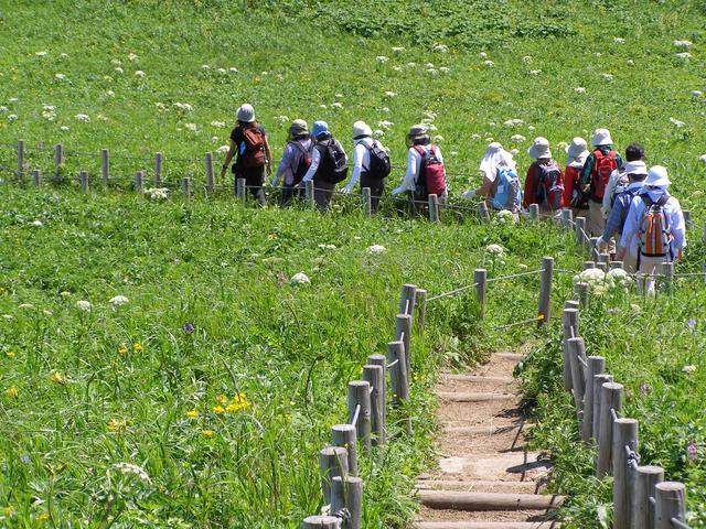 画像: 天然の花畑を爽やかハイキング♪
