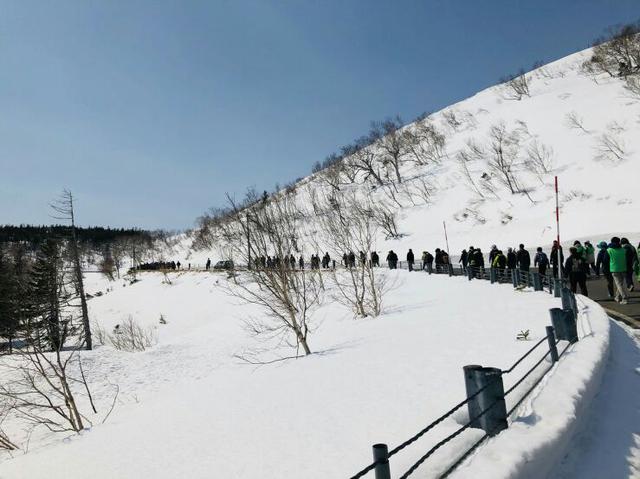 画像2: 『羅臼コース』を歩いてきました