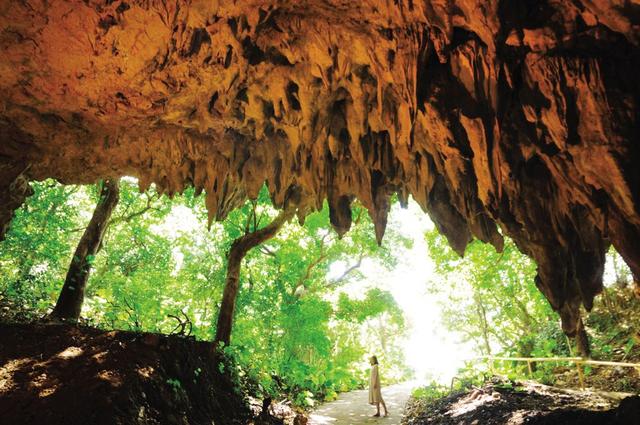 画像: 沖縄本島・ガンガラーの谷(イメージ/11月~1月は夏が終わり散策もしやすい安定した気候です) www.gangala.com