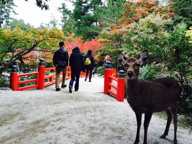 画像: 宮島