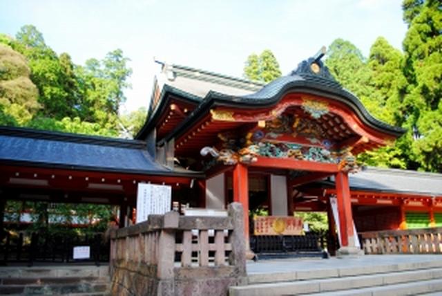 画像: (写真提供:公益社団法人 鹿児島県観光連盟)