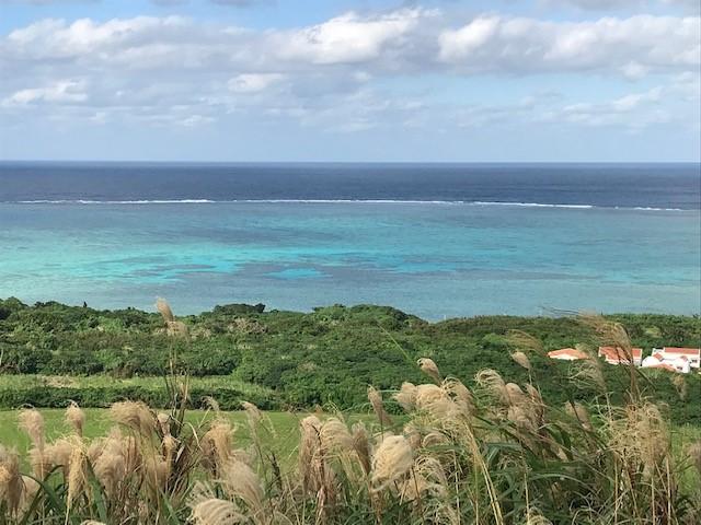 画像: 小浜島からの景色