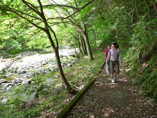 画像: 遊歩道を歩いていきます (イメージ)