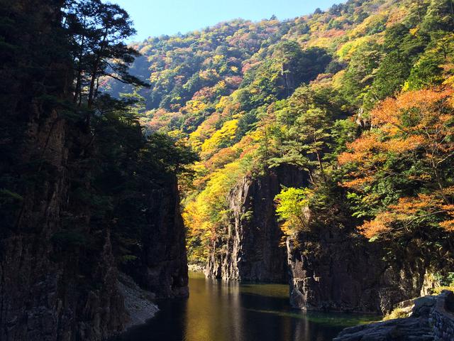 画像: 切り立つ大岩壁と原生林、澄み切った水面が幻想的な空間を繰り広げる黒淵渡舟(イメージ)