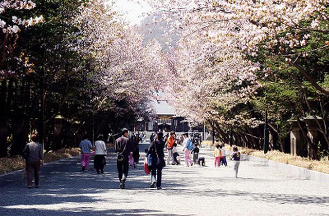 画像: 北海道神宮※イメージ