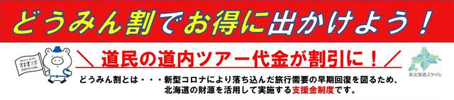 画像: どうみん割とは?