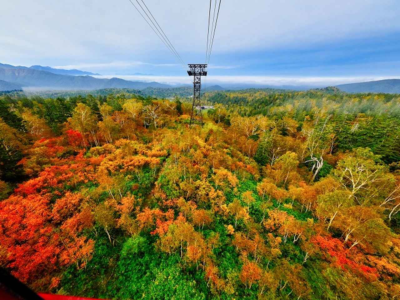 画像: 秋の紅葉ツアー・紅葉旅行2025｜北海道エリアの紅葉スポット│クラブツーリズム