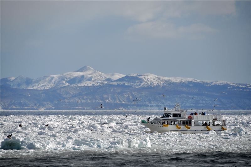 画像: 根室海峡クルーズ（イメージ）