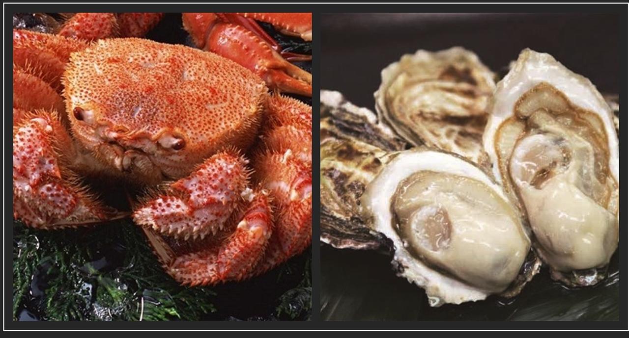 画像11: 【観光ガイド】北海道11月の魅力とおすすめスポット5選！冬の始まりを楽しむ旅へ