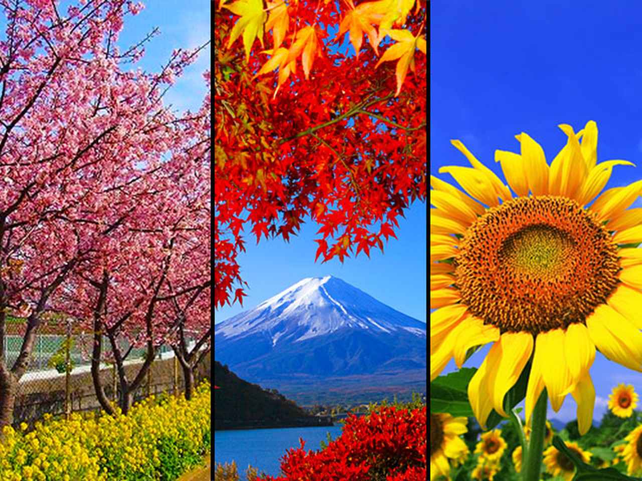 画像: 【公式】【北海道発】日帰りバスツアー・旅行特集(出発地別)│クラブツーリズム