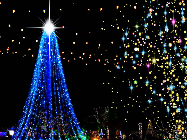 画像: イルミネーションツアー・旅行【北海道発】│クラブツーリズム