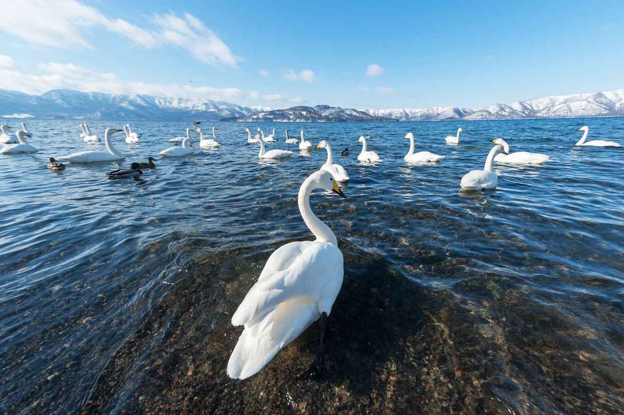 画像: 屈斜路湖(イメージ)※雪景色は自然現象により、ご覧いただけない場合がございます
