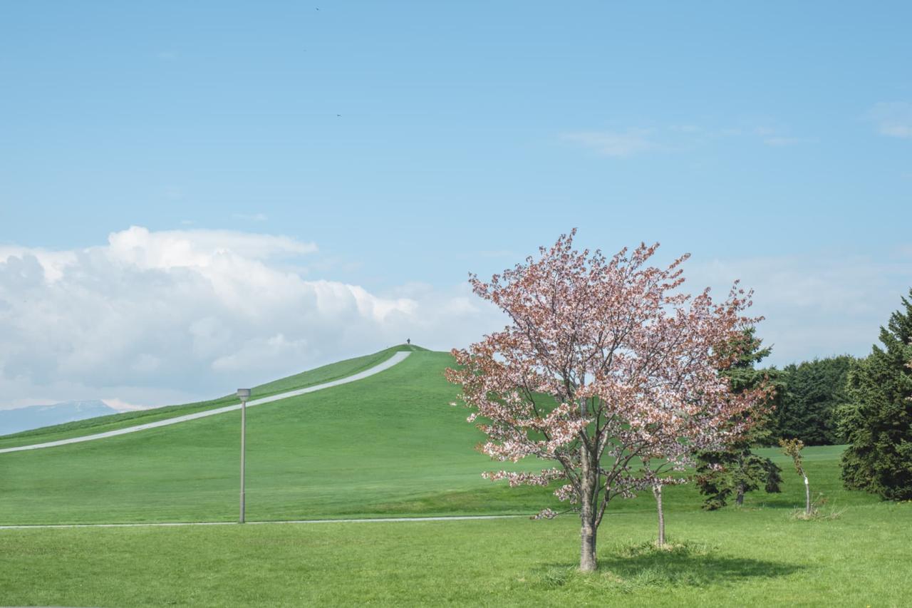 画像9: 【観光ガイド】北海道の桜名所5選！各エリアの見頃や服装も徹底解説