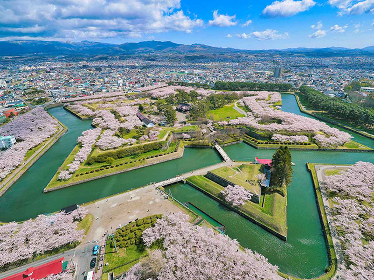 画像: 桜・お花見ツアー・旅行2026｜北海道エリア│クラブツーリズム