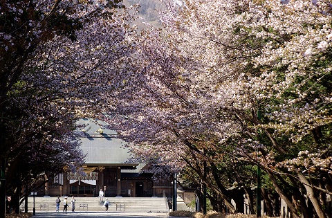画像: 『桜花繚乱円山公園・中島公園と開運！桜咲く七社　お参り旅』【札幌北口発】｜クラブツーリズム