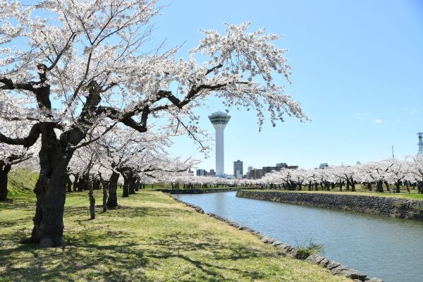 画像: 『案内人と巡る！桜咲く2つの日本100名城 幕末の歴史に触れる 函館五稜郭＆松前城 2日間』【札幌駅北口出発】｜クラブツーリズム