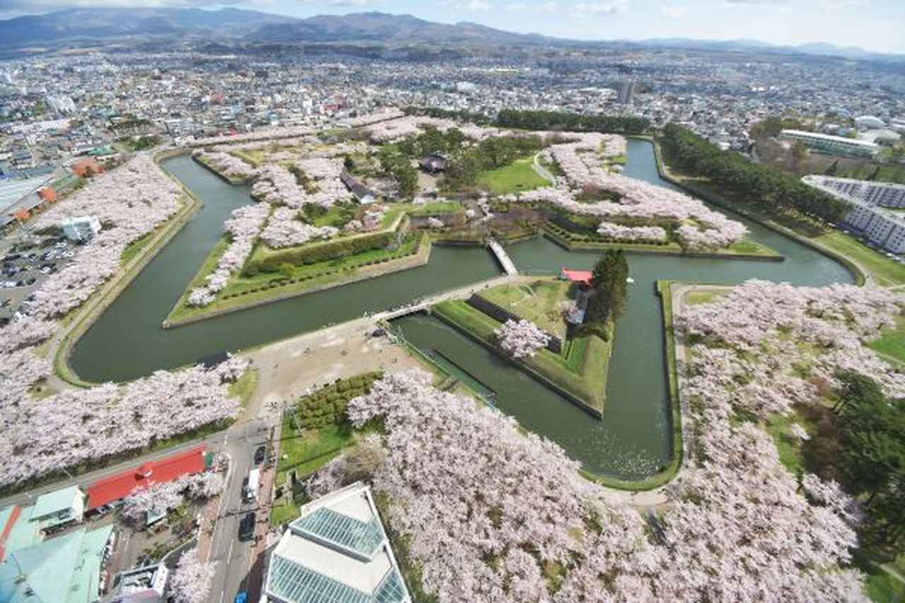 画像: 【札幌発】2026年の桜ツアーをご紹介！各コースのおすすめポイントを解説 - クラブログ ～スタッフブログ～｜クラブツーリズム