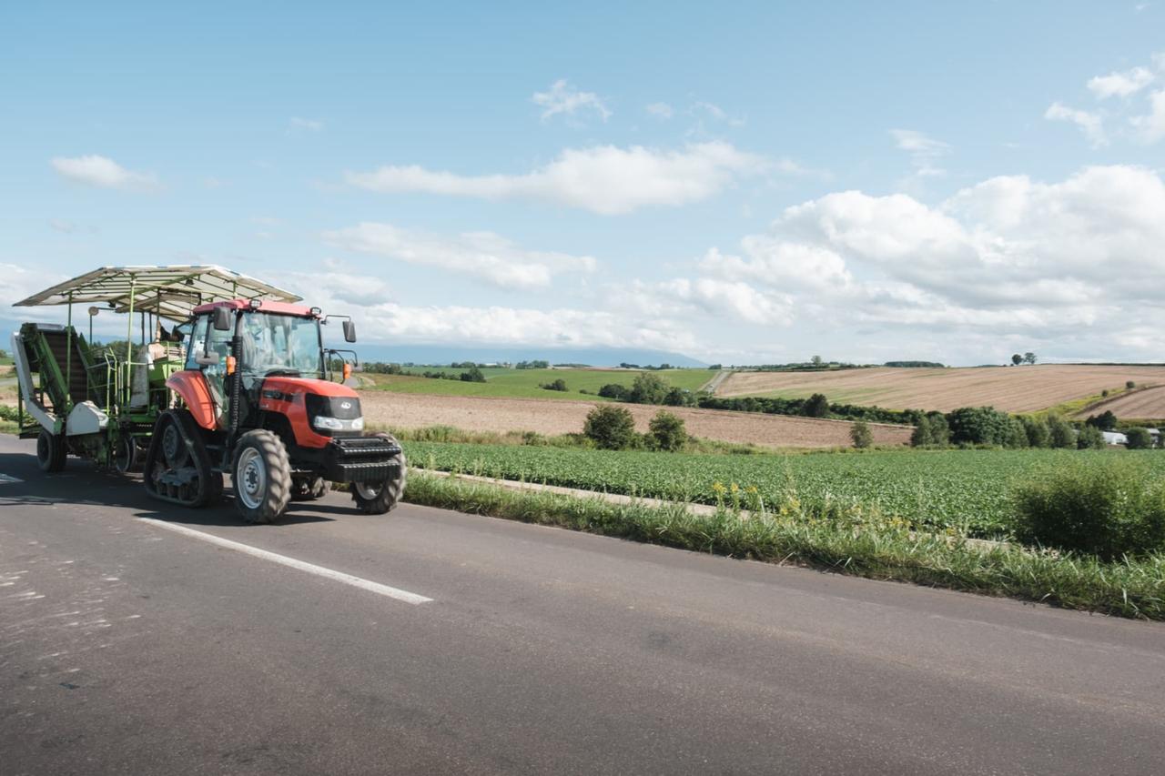 画像: 美瑛の丘（イメージ）