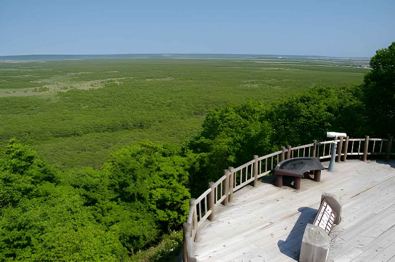 画像: 釧路湿原（イメージ）