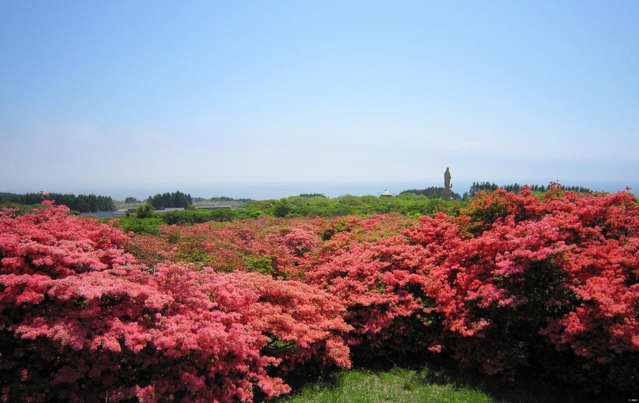 画像: 恵山つつじ公園（イメージ）※例年の見頃は5月下旬～6月上旬