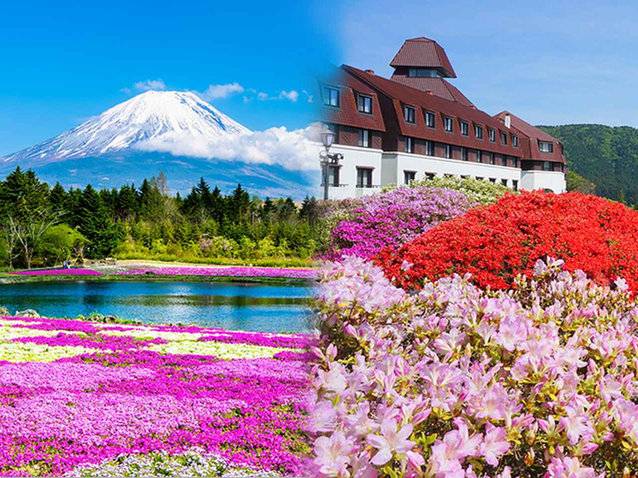 画像: 芝桜・ツツジツアー・旅行2026【北海道・中国・四国・九州発】│クラブツーリズム