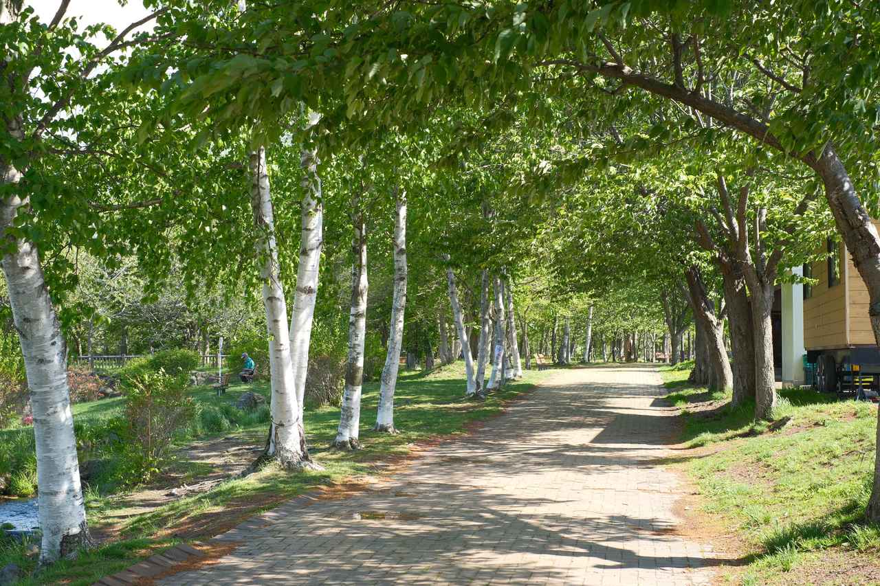 画像2: 【観光ガイド】5月の北海道旅行おすすめスポット10選！春の魅力や服装の注意点を解説