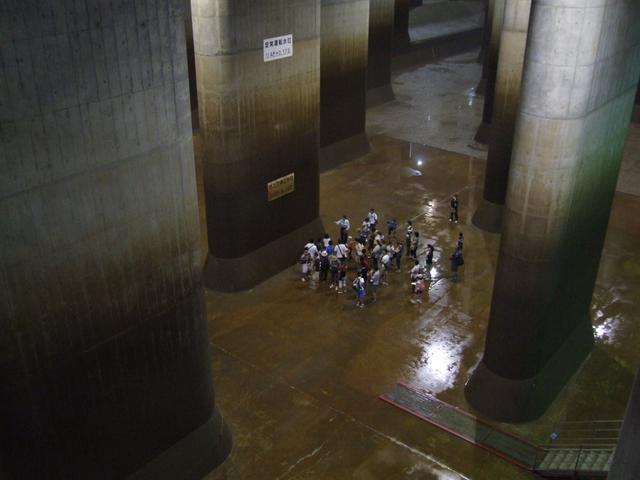 画像2: 写真提供:国土交通省江戸川河川事務局