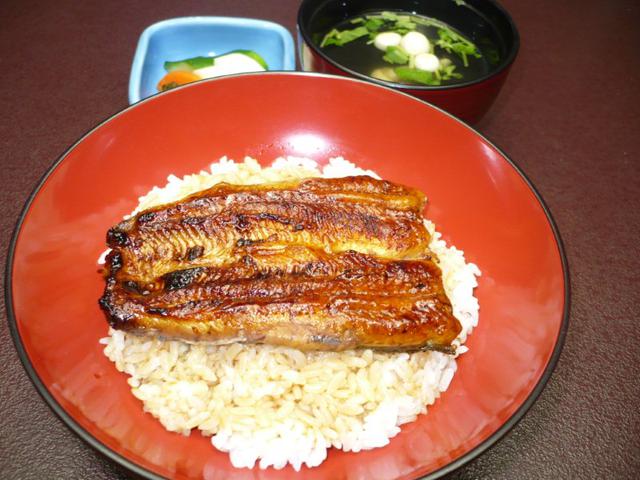 画像: 御殿川 うなぎ丼(イメージ)